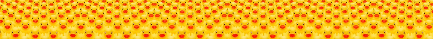 rubber-duck-thin